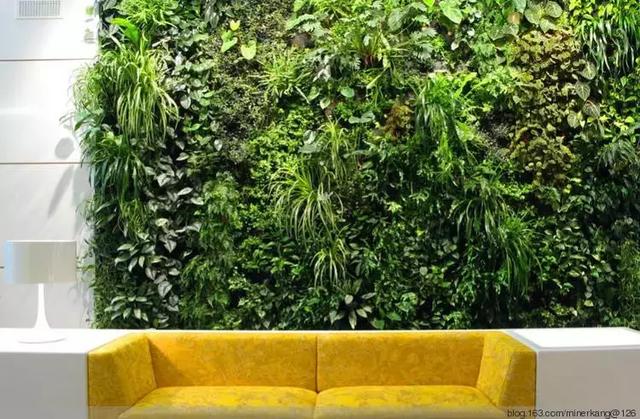 詳解一下立體植物墻的類型有哪些