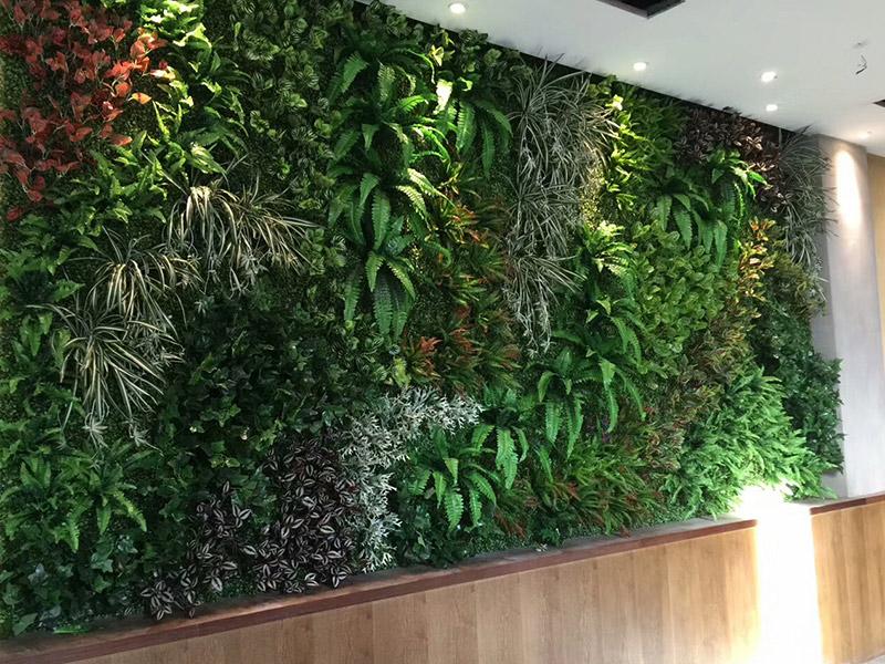 植物動態(tài)變化--植物墻設(shè)計(jì)參考的重要因素