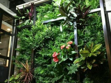 詳解一下植物墻的施工次序