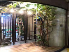 室內(nèi)立體植物