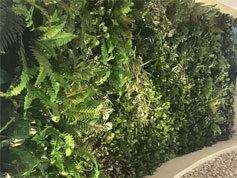 室內(nèi)仿真植物墻