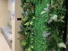 室內(nèi)植物墻