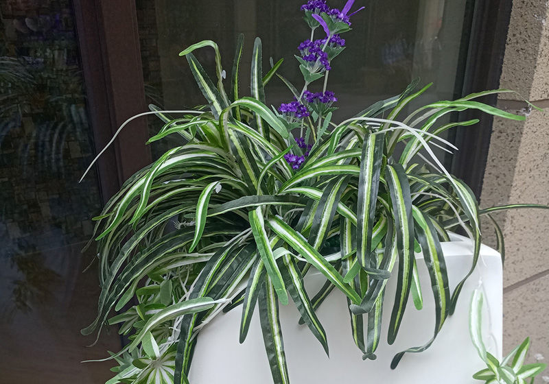 仿真植物墻系列