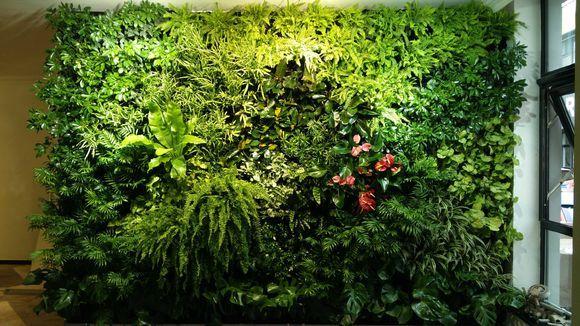植物墻后期養(yǎng)護