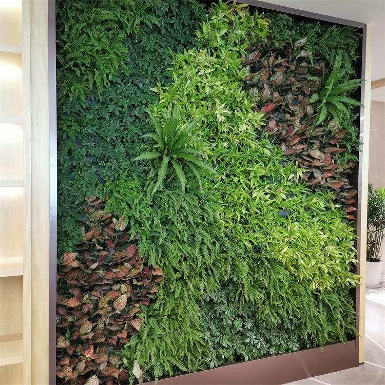 辦公室內(nèi)植物墻植物該如何挑選