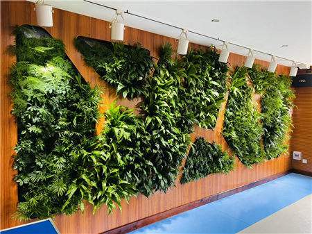 植物墻如何保障安全