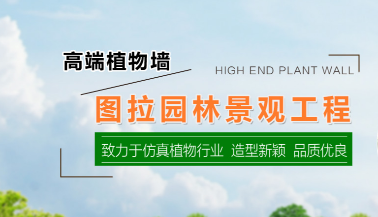 植物墻在家裝環(huán)境中的應用