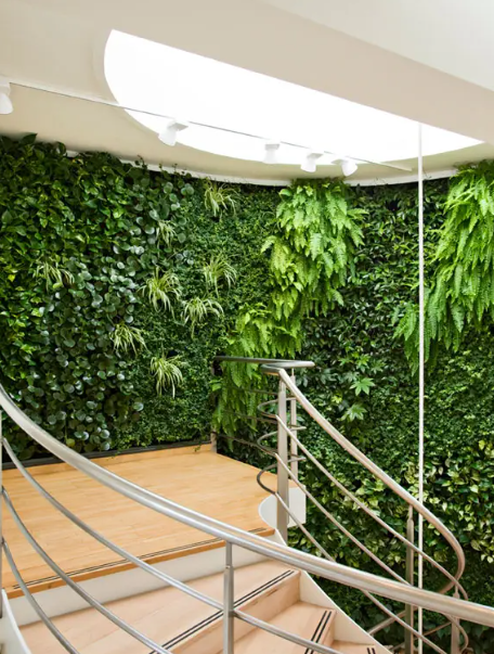 垂直綠化景觀植物設計