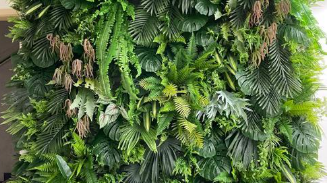 重慶仿真綠植墻哪家好？——選購(gòu)指南與推薦要點(diǎn)