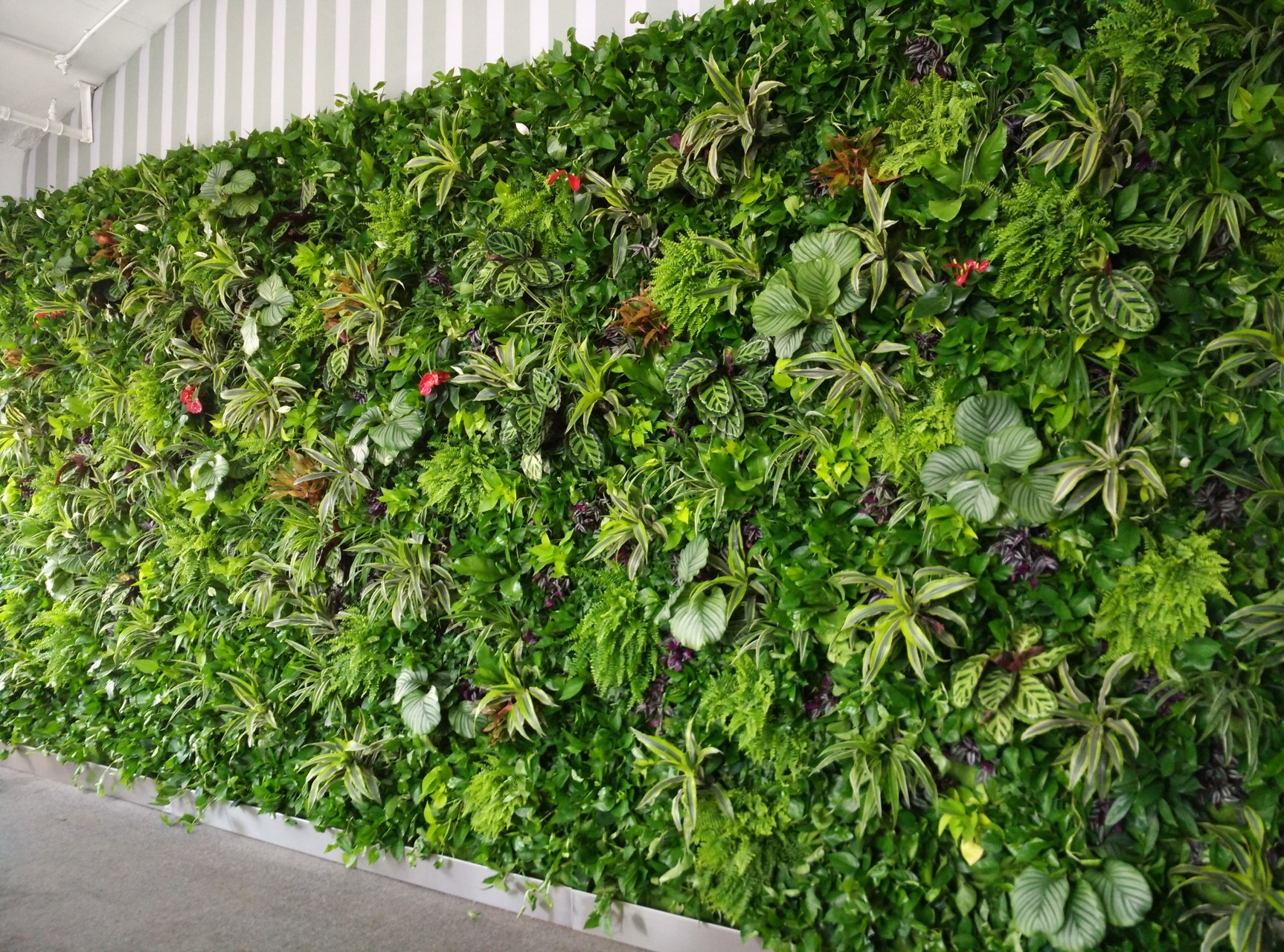 重慶仿真植物墻安裝全攻略