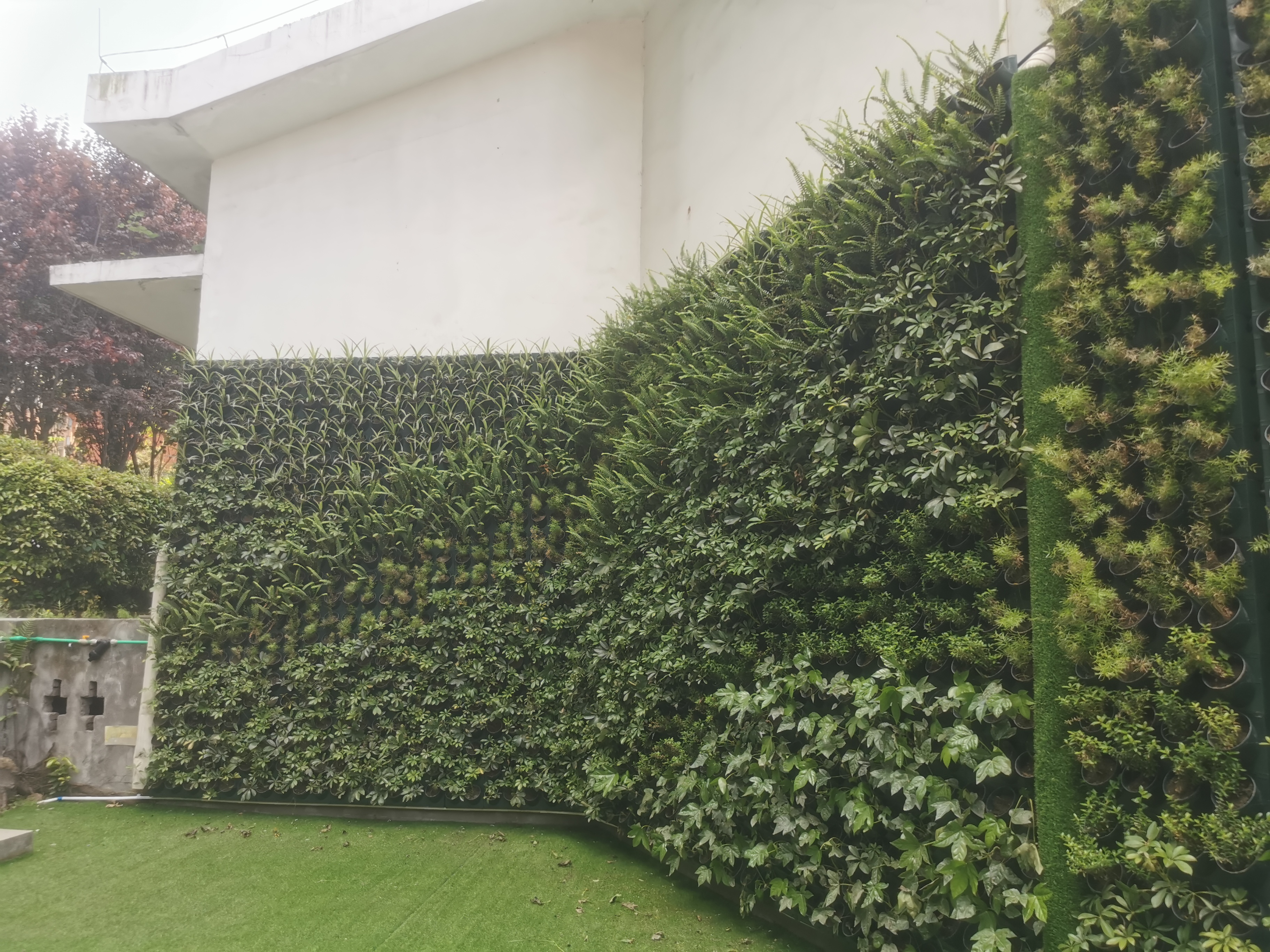 重慶植物墻，讓建筑與自然共生