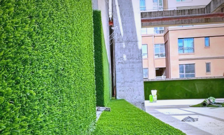 重慶真實(shí)植物與仿真植物的光照需求客觀解析